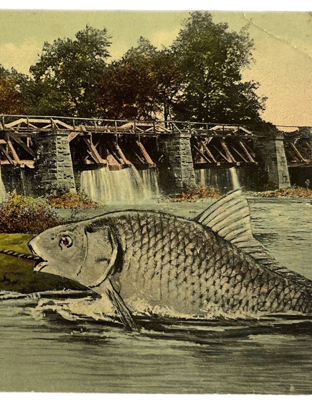 Antique 1913 Copyright Litho Ephemera Postcard Humor Gigantic Fish Midland Pub